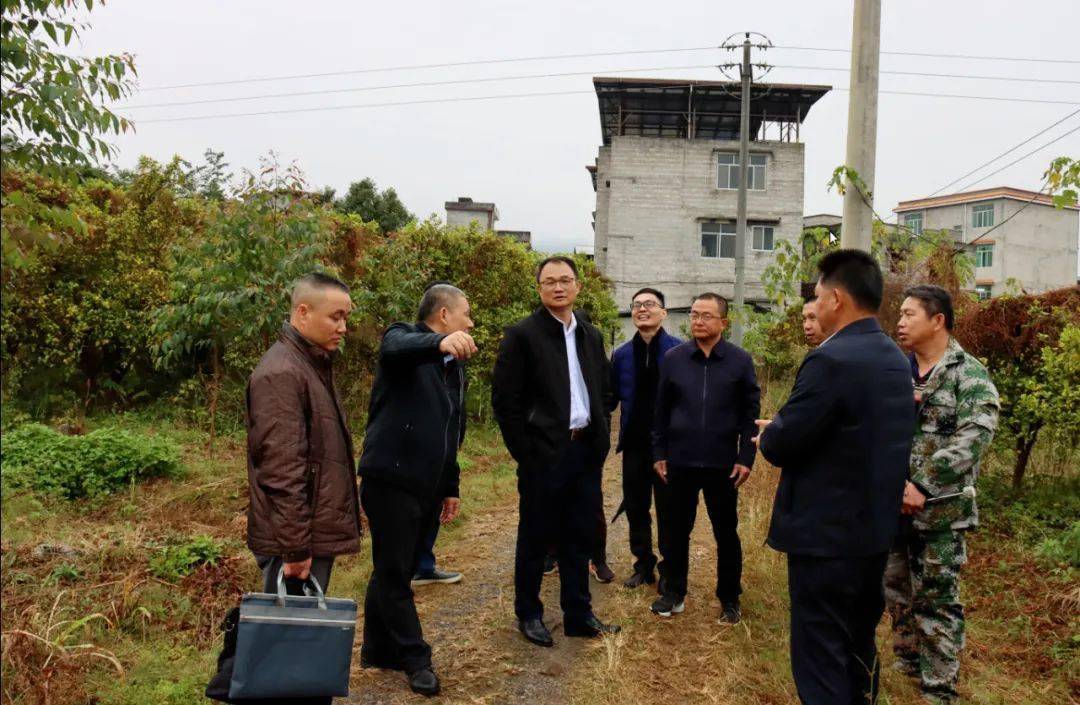 梧州市信访局领导到藤县,蒙山县,岑溪市调研信访法治化工作_服务_建设