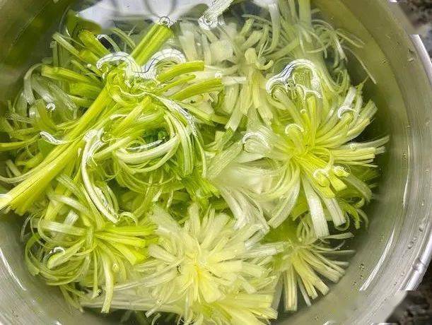 开州头碗,山胡椒冷水鱼帅乡扣碗,紫苏绿豆鸭,七彩虾羹汤9秒雪参鸡