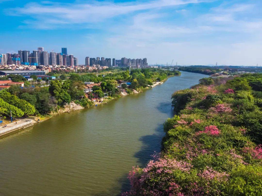 云东海"百千万工程"摄影展开展,线上线下可赏→_李东_东海街道_胡卫东