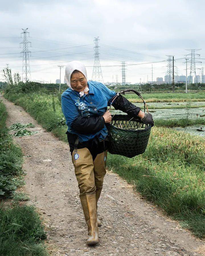 甪直车坊淞渔村, 2019年 石春兰高中毕业了,17岁的我做了代课老师.