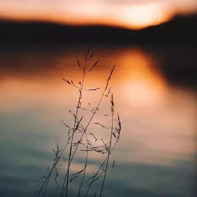 信任,只有一次!_人家_侵权_留言