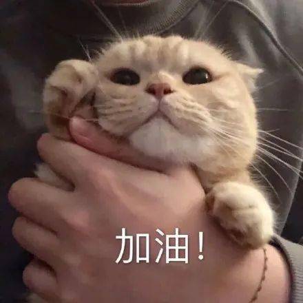 也不断在"内部比拼"和"自我革新"中不断升级自己的教学方法~托福课程