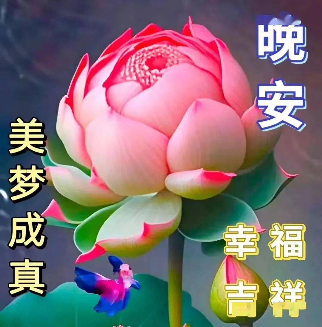 2024最新中老年表情包大全,平安一生,健康一世,快乐一辈子!_好运
