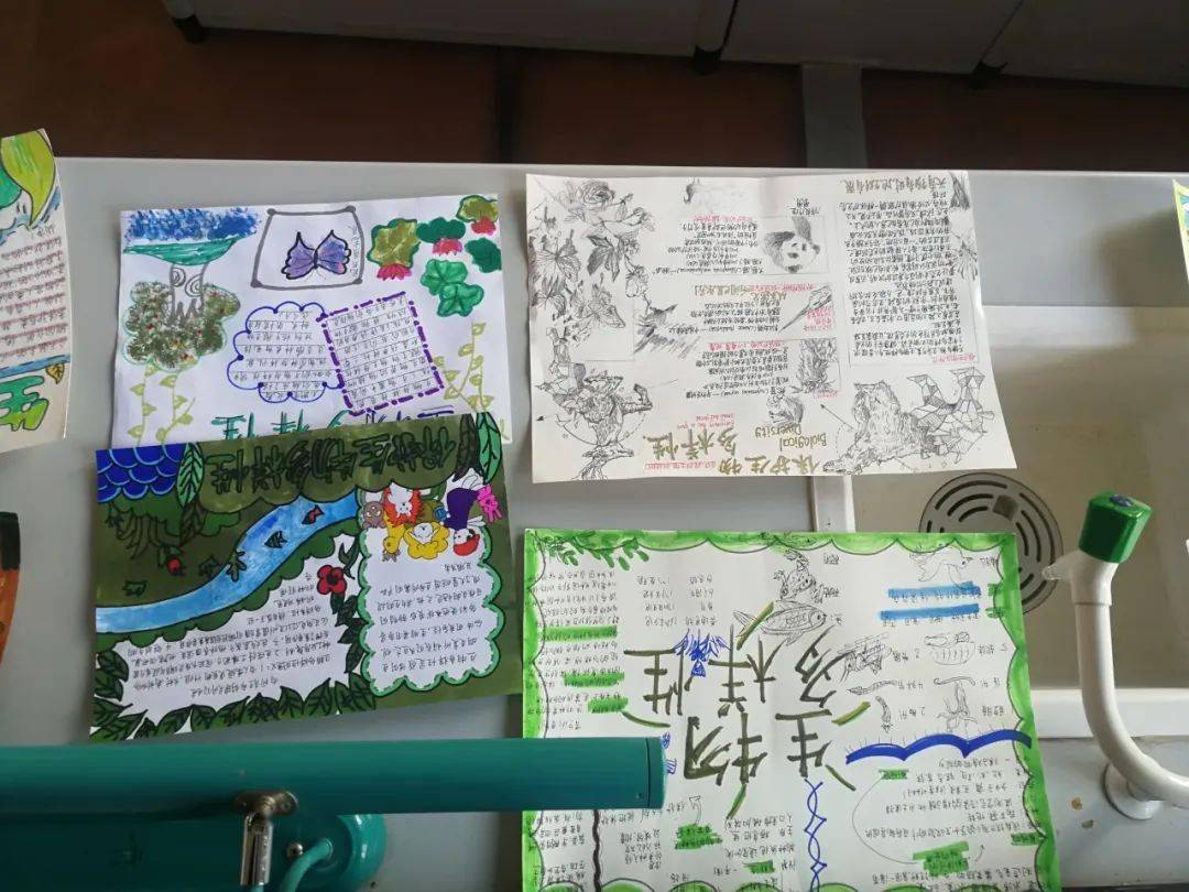八年级生物手抄报go九年级数学思维导图sports教务教研工作,是一项常