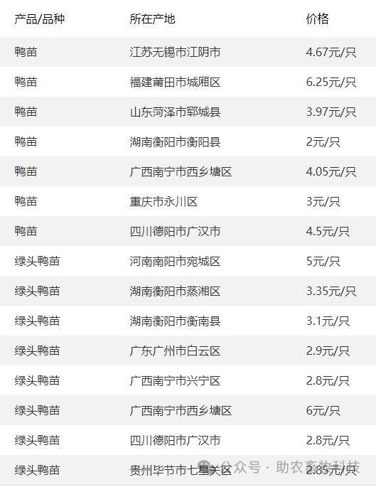 (2024年1月13日)_價格_生豬_市場