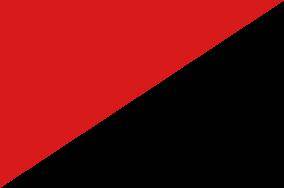 有种青春力量叫南平"青年突击队"_建设_项目_任务