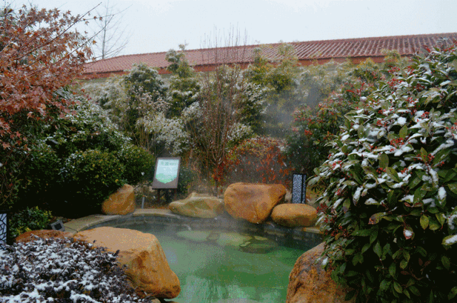 奥华温泉酒店 | 解锁39 ℃的冬天 静享冬日漫时光_人体_温度_视频