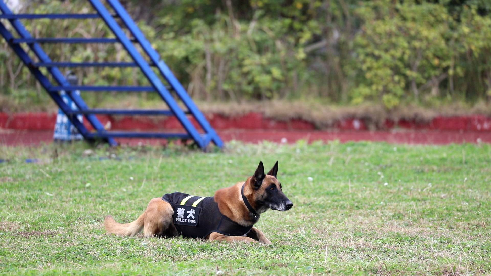 致敬五彩斑斓的"警"色_守护_群众_湖区