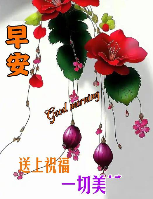早上好,群发好友早安祝福图片带字带祝福语_问候_平安_岁月