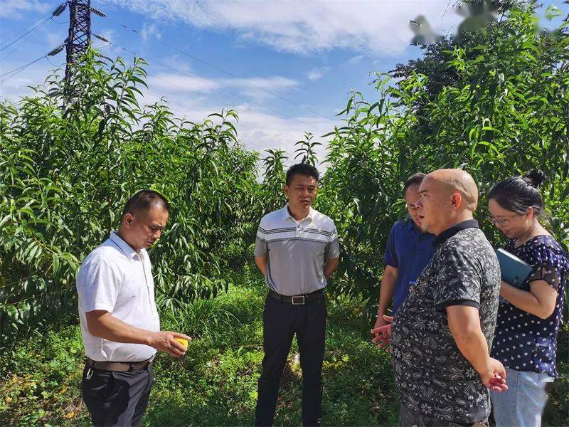 【莞铜协作】13阳河水映丹心|记玉屏自治县委常委,副县长吴春国