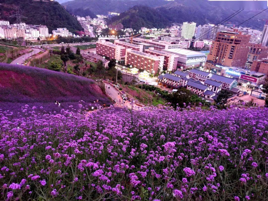 媚眼风光恰图片