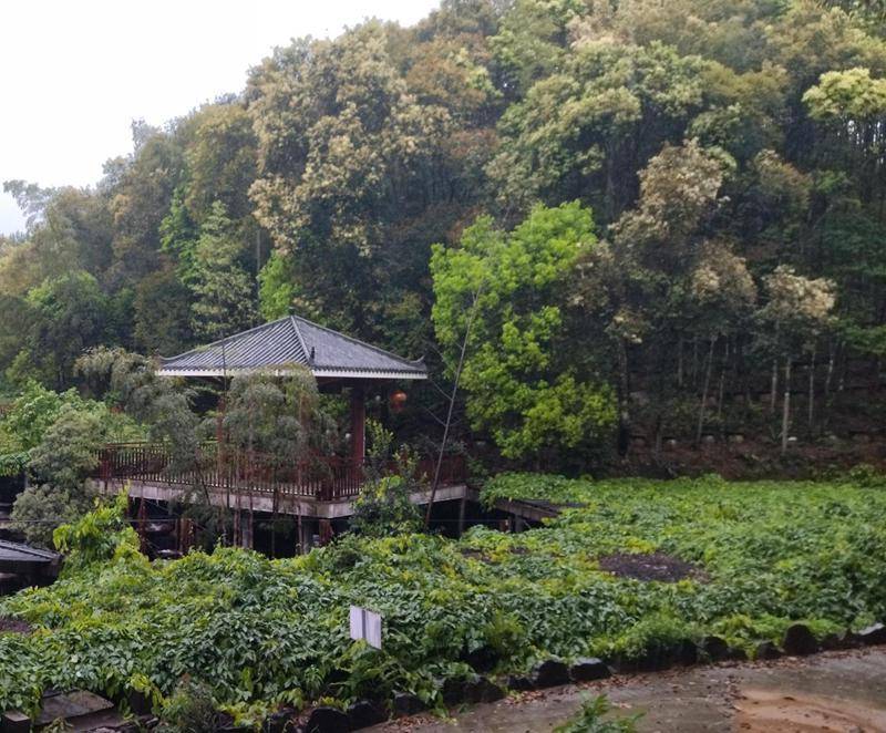 寻乌县岑峰森林康养基地九曲度假村位于江西省赣州市定南县天九镇的