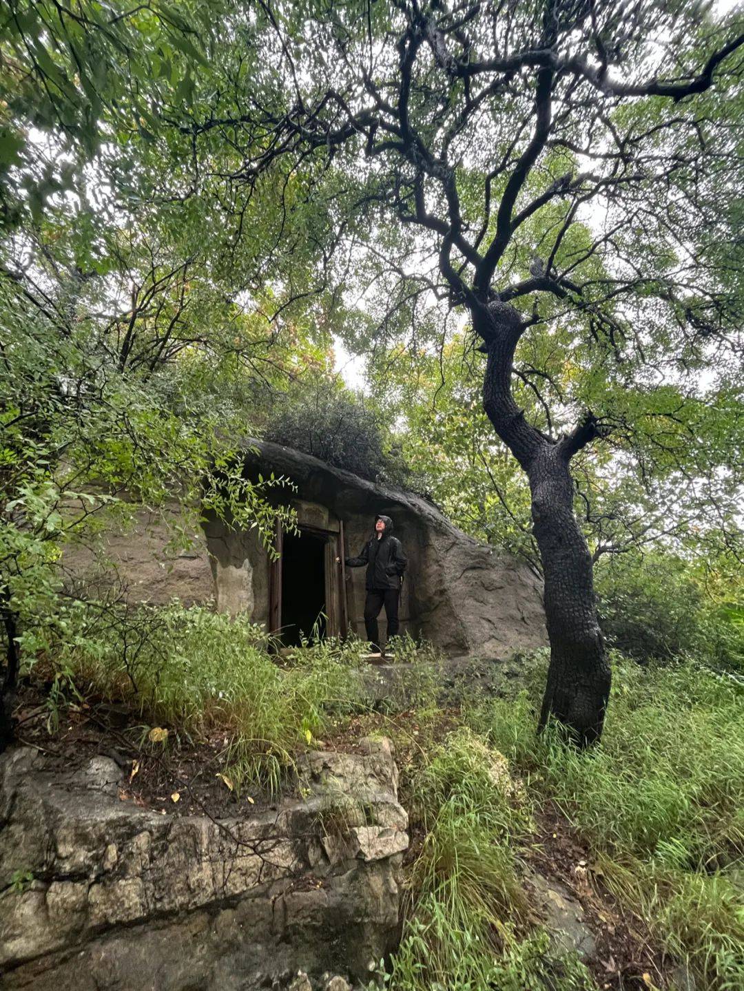 南山供秀