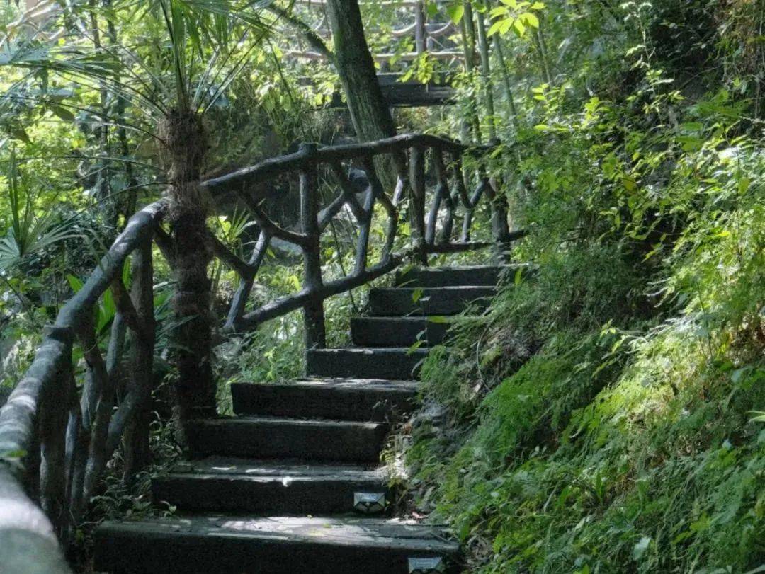 来白露山过个浪漫暖冬!_塘里_生活_兰溪市