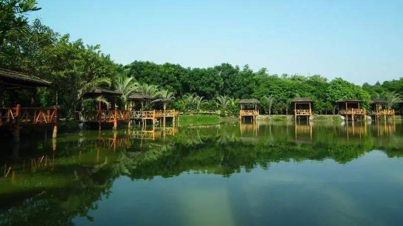 万竹园旅游景区,位于"中国竹笋之乡"揭东区埔田镇,地理位置优越,交通