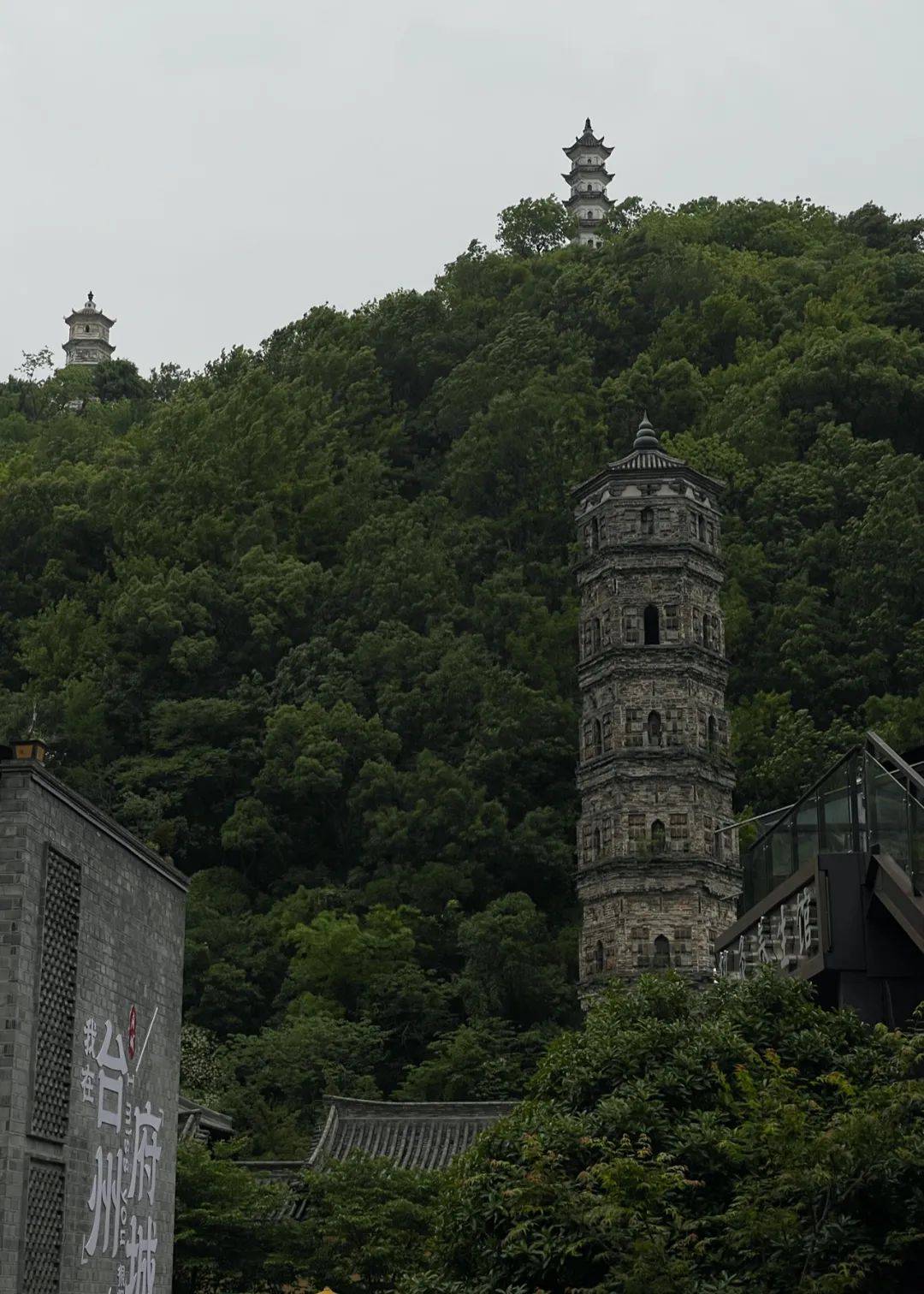 南山供秀