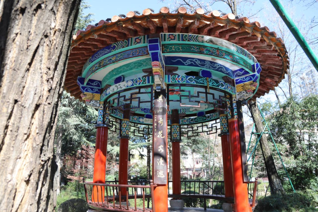 改造后的清官亭公园,增加了啥?_昭通_人民_主题