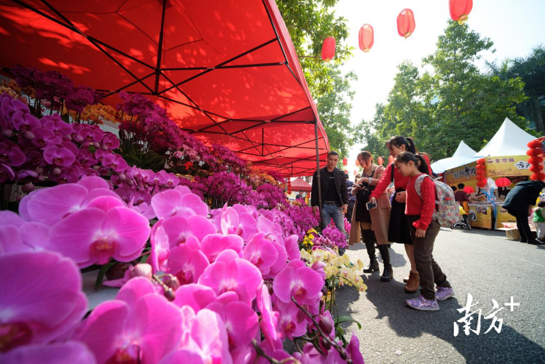 视频｜什么？你春节要去东莞旅游？有什么好玩的啊……