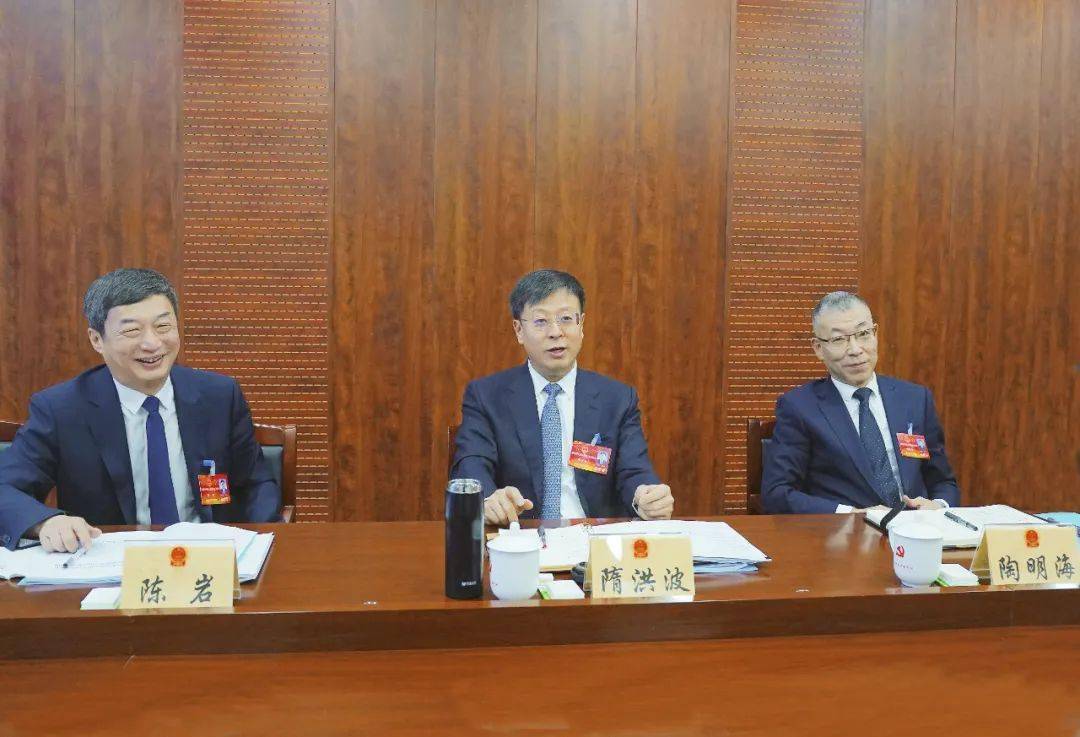 隋洪波参加铁力市代表团审议隋洪波认真听取张洪海,王浩,张世勇,王甲