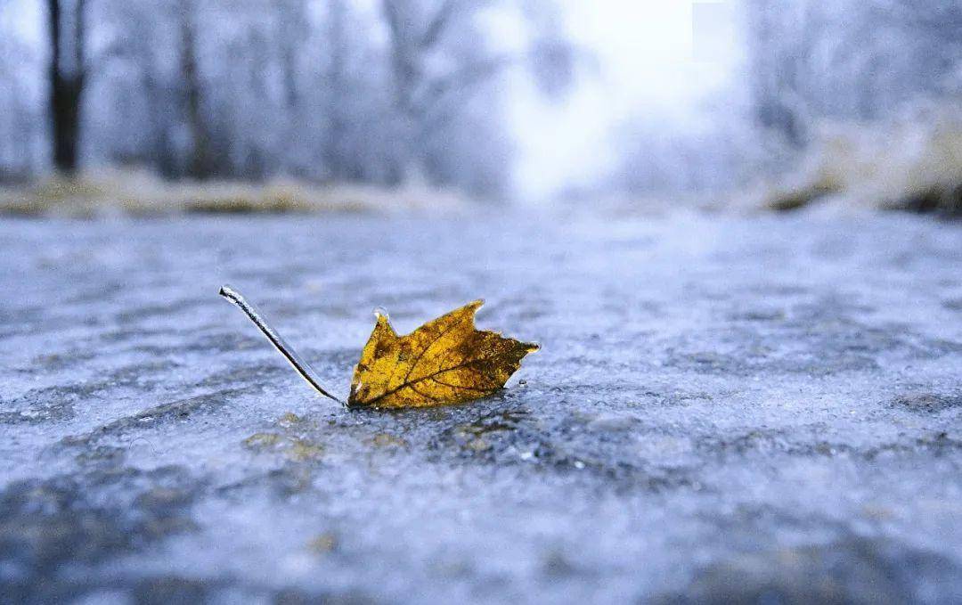 雨夹雪唯美图片