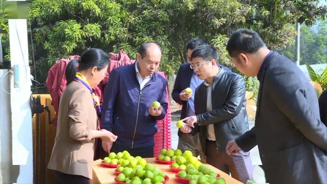 丰顺埔寨镇首富图片