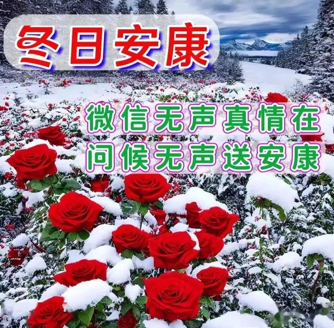 2024最新早上好表情包 免打字聊天冬天早上好问候短信温馨