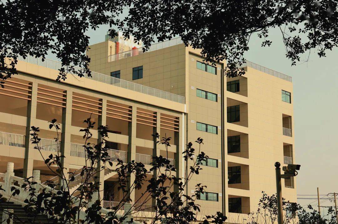 立德树人,灵动德育——温州市第五十一中学德育工作2023年度盘点_图片