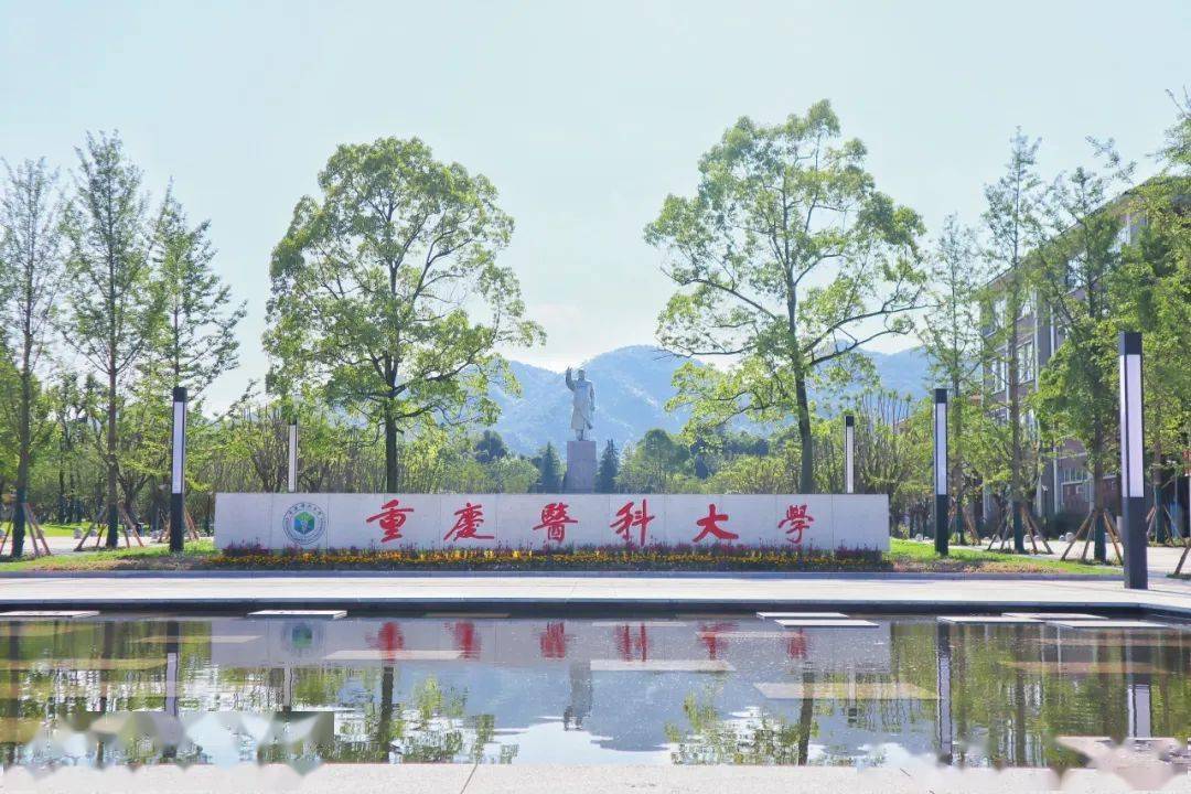 重庆医科大学诚邀海内外优秀博士加盟博士后队伍!_考核_科研_相关