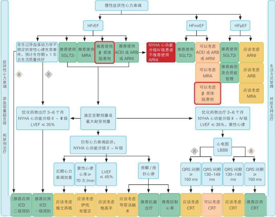 2023國家心力衰竭指南重磅發佈!以比索洛爾為代表的bb