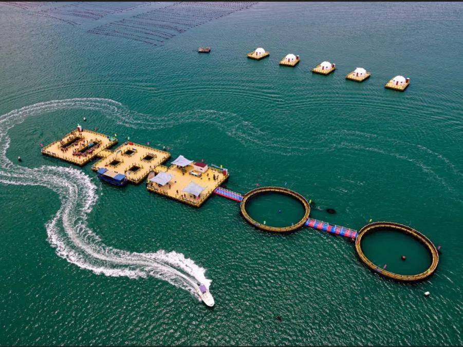 海洋牧场——神雕山野生动物世界——海洋食品博览中心——歌尔创客