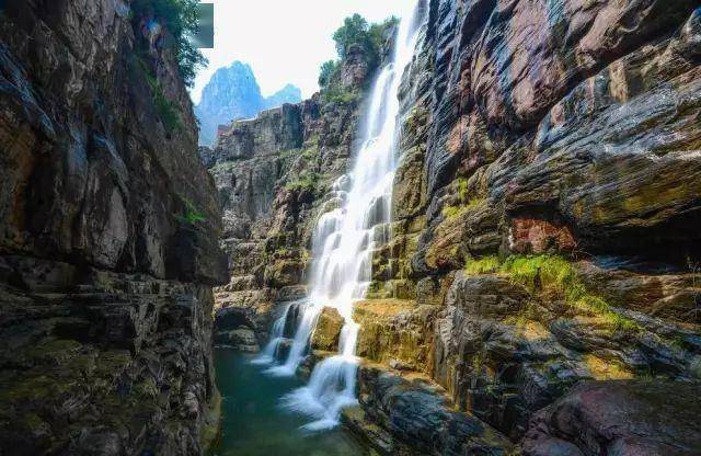 河南焦作云台山景色_景区_叠彩_猕猴