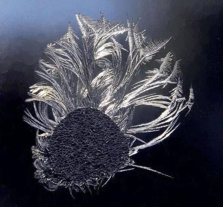 冰冻窗花,叹为观止!_水蒸气_温度_冰晶