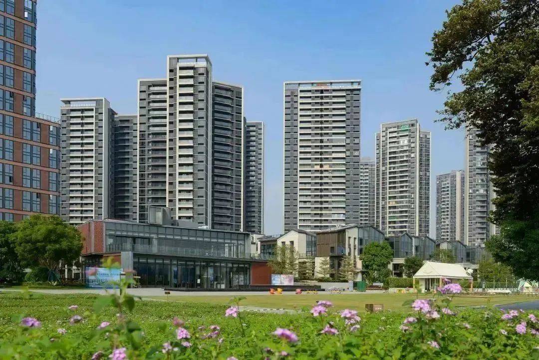 弦乐之声,奏响江门,粤海与城市共美好之盛会!