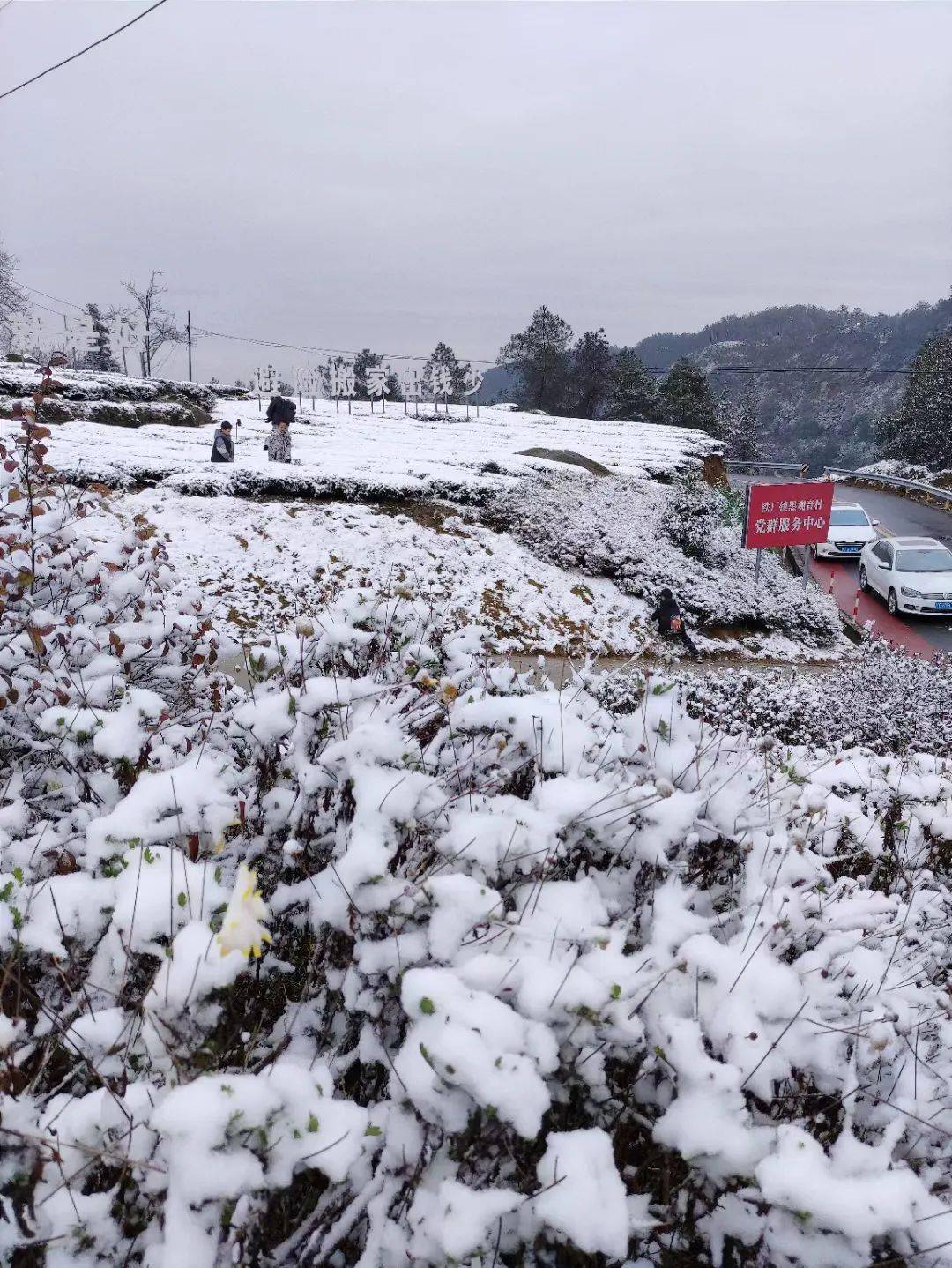 泰顺看雪图片