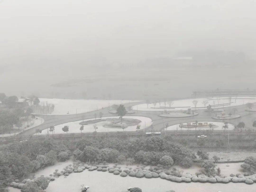 台州下雪了!多地出现积雪!_全屏_页面_视频