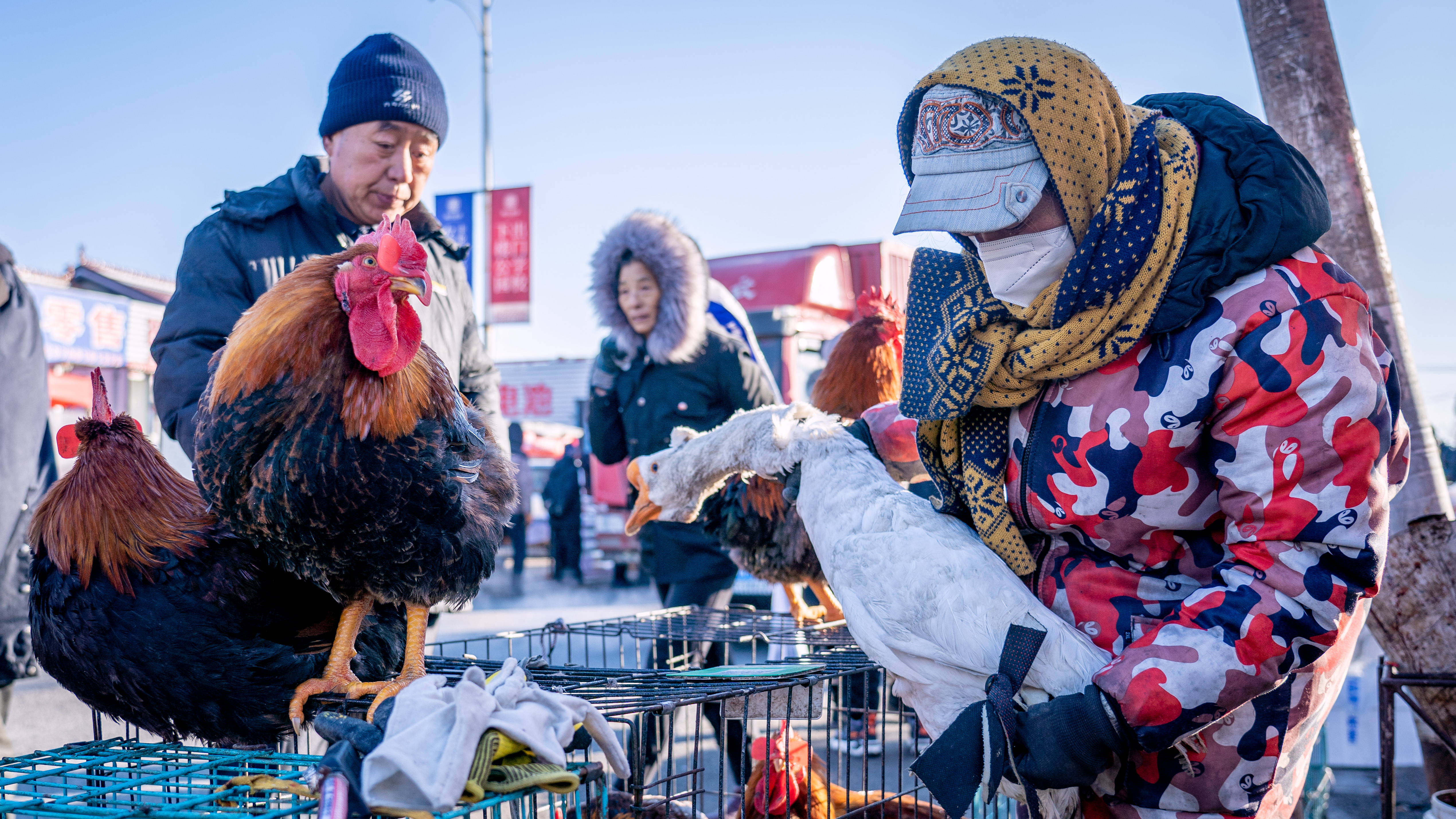 特写:中国东北农村集市年味渐浓