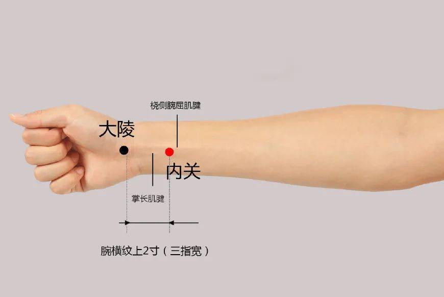 位置_用法_身体