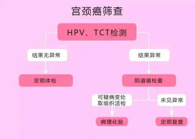 【重醫三院|健康科普】早發現 早治療,關愛她健康 癌