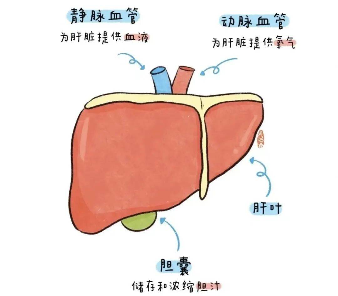 十八拍》,《莊周夢蝶》(注意在19點~23點期間聽效果更好哦)清脆悠揚