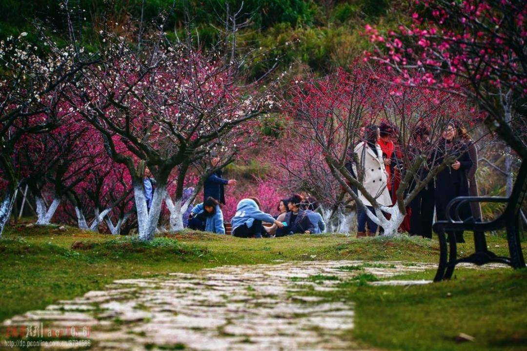 在湖州遇見幸福河湖 | 吳興區南北橫塘_建設_鄉村_特色