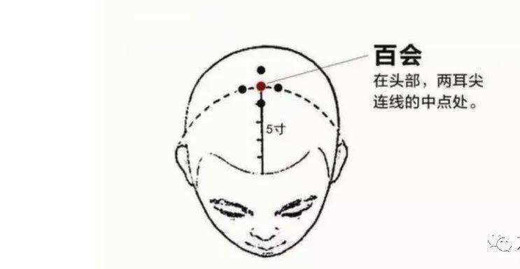 人體有個陽氣 