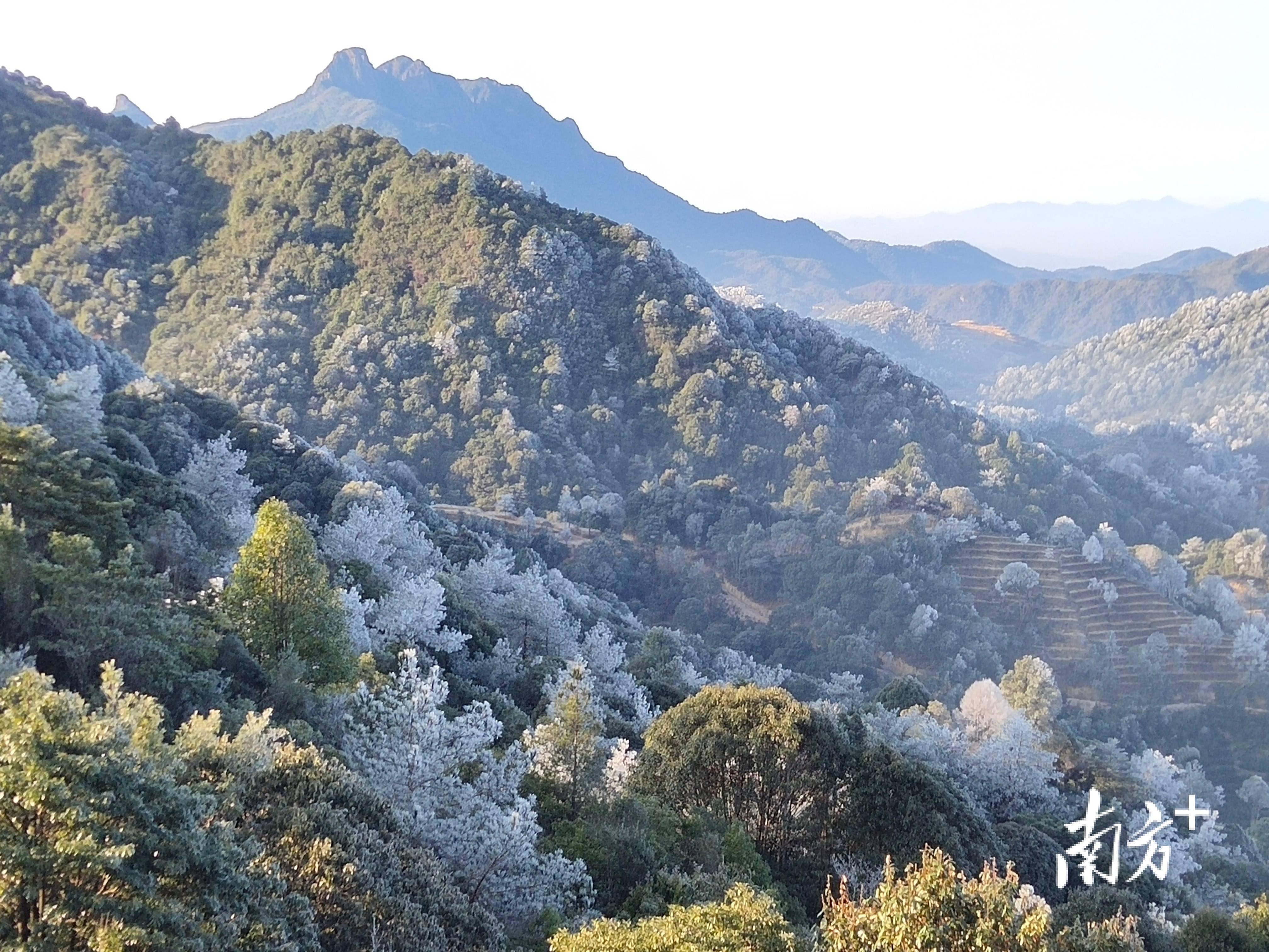 潮州凤凰山照片图片