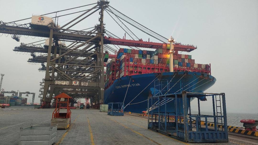 "海豚"成队出海 | 中远海运助力比亚迪新能源车出口澳洲_搜狐汽车