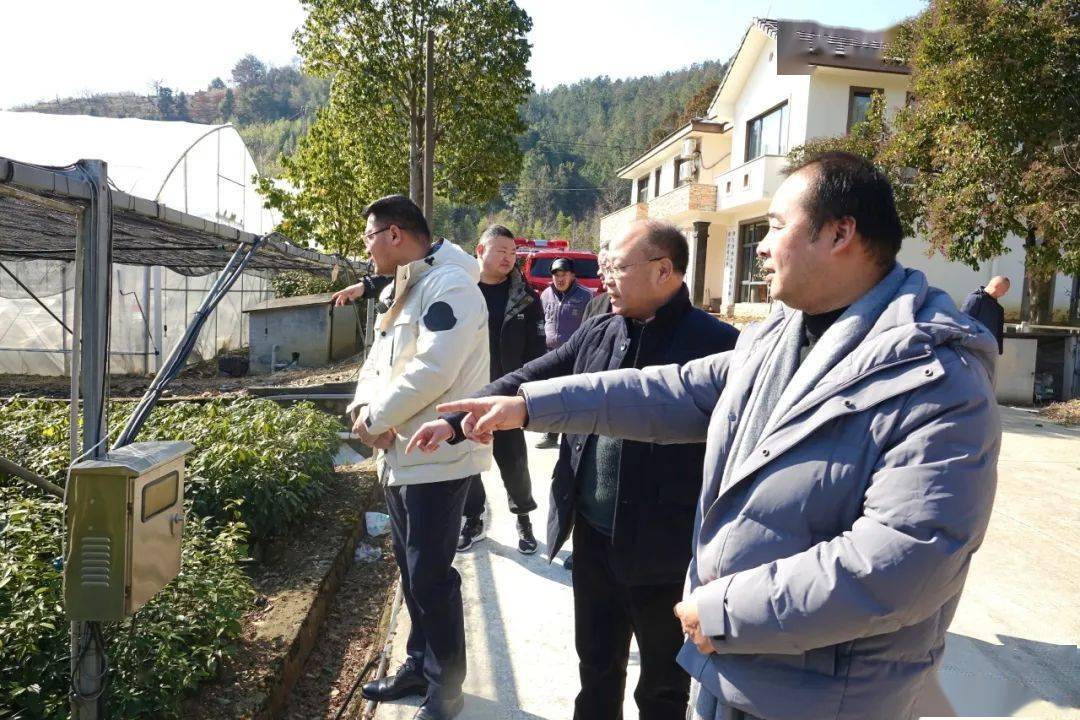 把好安全關 守住平安線 | 區農業農村局開展