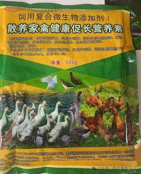 散養家禽營養不全的問題,可以使用含預混料與益生菌的