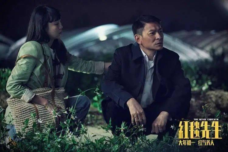 《红毯先生》刘德华演绎"天王下乡记"_刘伟驰_宁浩_电影城