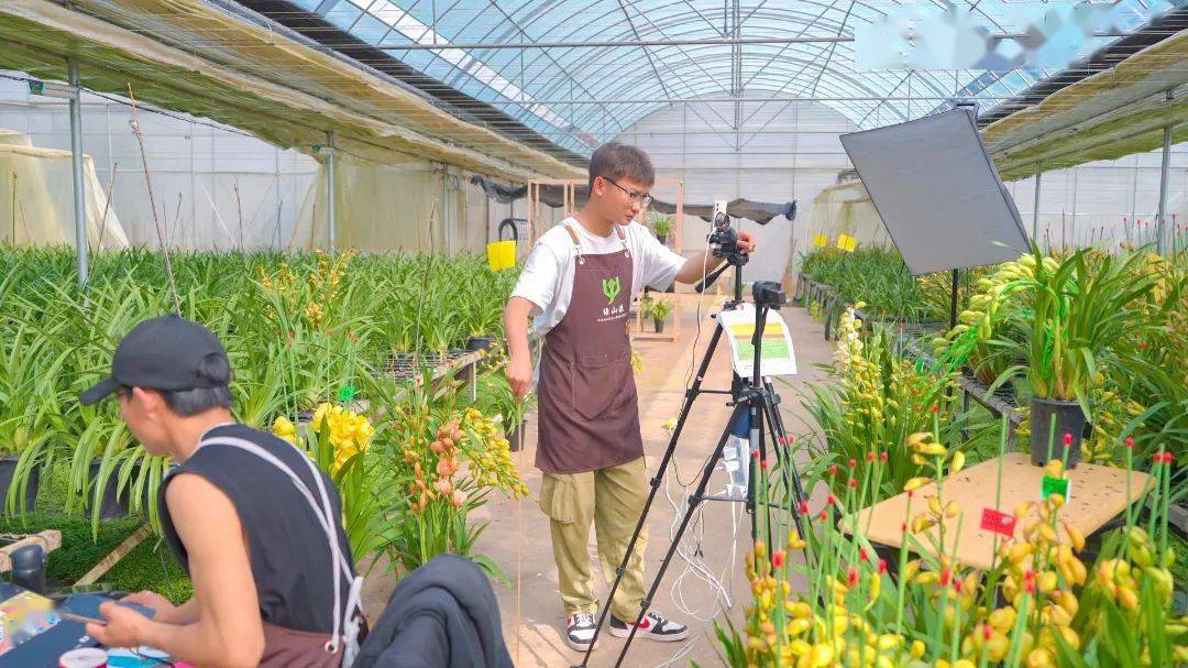 基地的花海里,他们在聚光灯下,在镜头前,游刃有余的直播,熟练的介绍