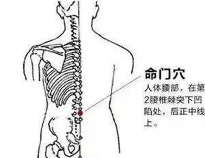 5寸),關元穴(臍下3寸),揉摩腹部有壯腎起痿