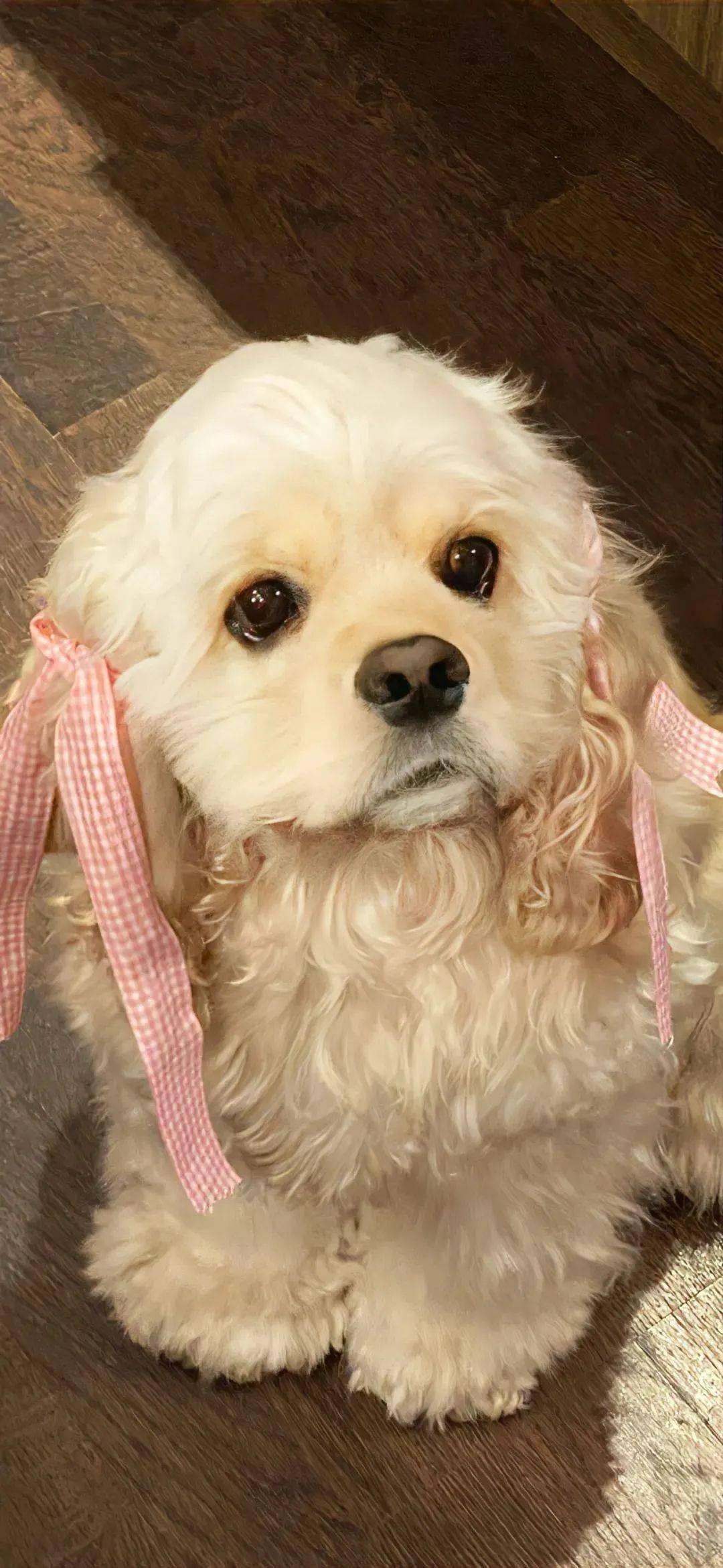 壁纸|来一期高质量锁屏壁纸