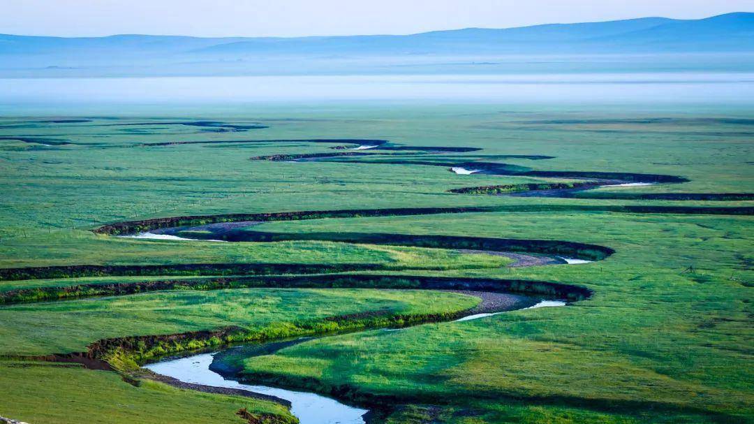 一到夏天,内蒙古就"绿"了全世界!_草原_地方_牛羊